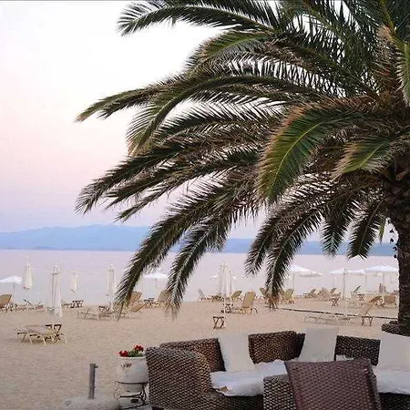 Semesteranläggning (resort) Assa Maris Chalkidike